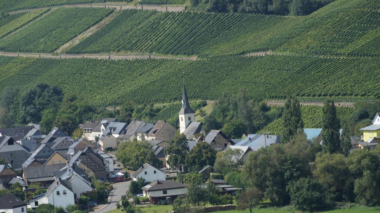 Altes Winzerhaus - Ferienhaus Burgen  Esterno foto